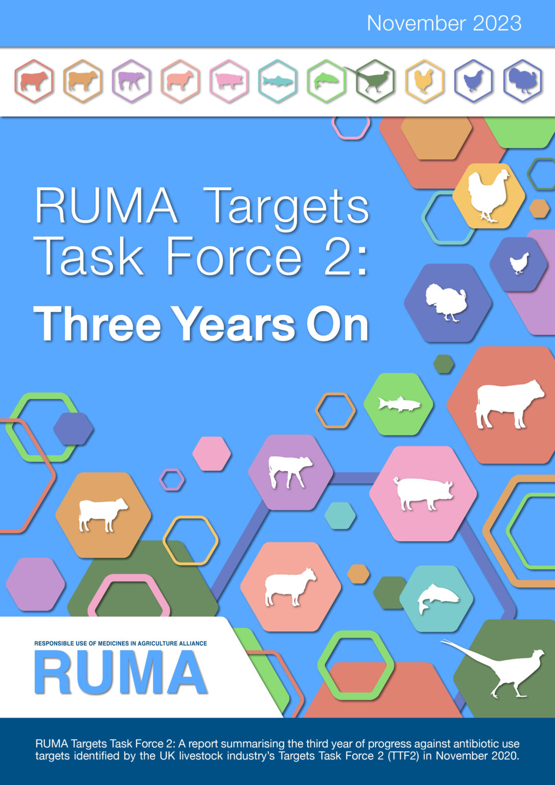 Reports – RUMA